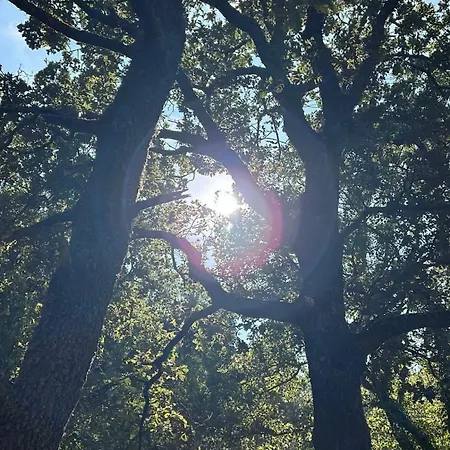 Tra Chiazza E Casteddu *