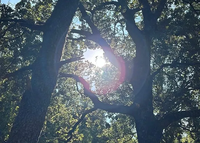 Tra Chiazza E Casteddu *